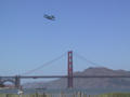 Crissy Field