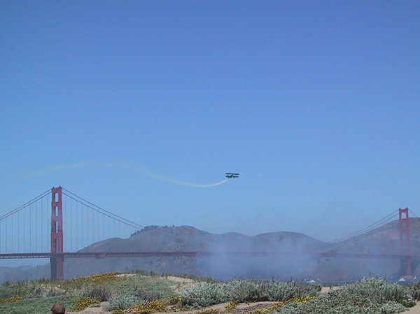 Crissy Field