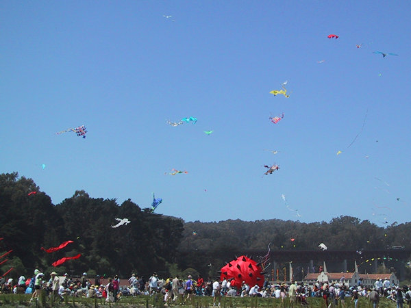 Kites