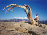 Sentinel Dome, Yosemite