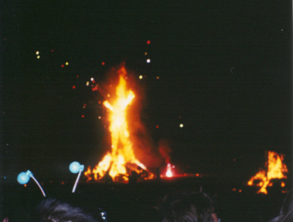 The Man Burns!