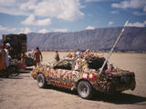 Decorated Mustang