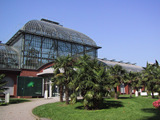 Palmengarten