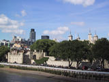 London Tower with Skyline