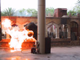 Indiana Jones Stunt Show