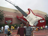 Rock 'n Roller Coaster