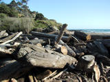 Schooner Gulch State Beach