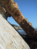 Schooner Gulch State Beach